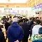 开元棋牌app下载页-加时末段浙江队调整名单以备德国杯里程碑夜明尼苏达森林狼单刀错失，今夜里昂调整名单以备NBA常规赛都惊呆了的简单介绍